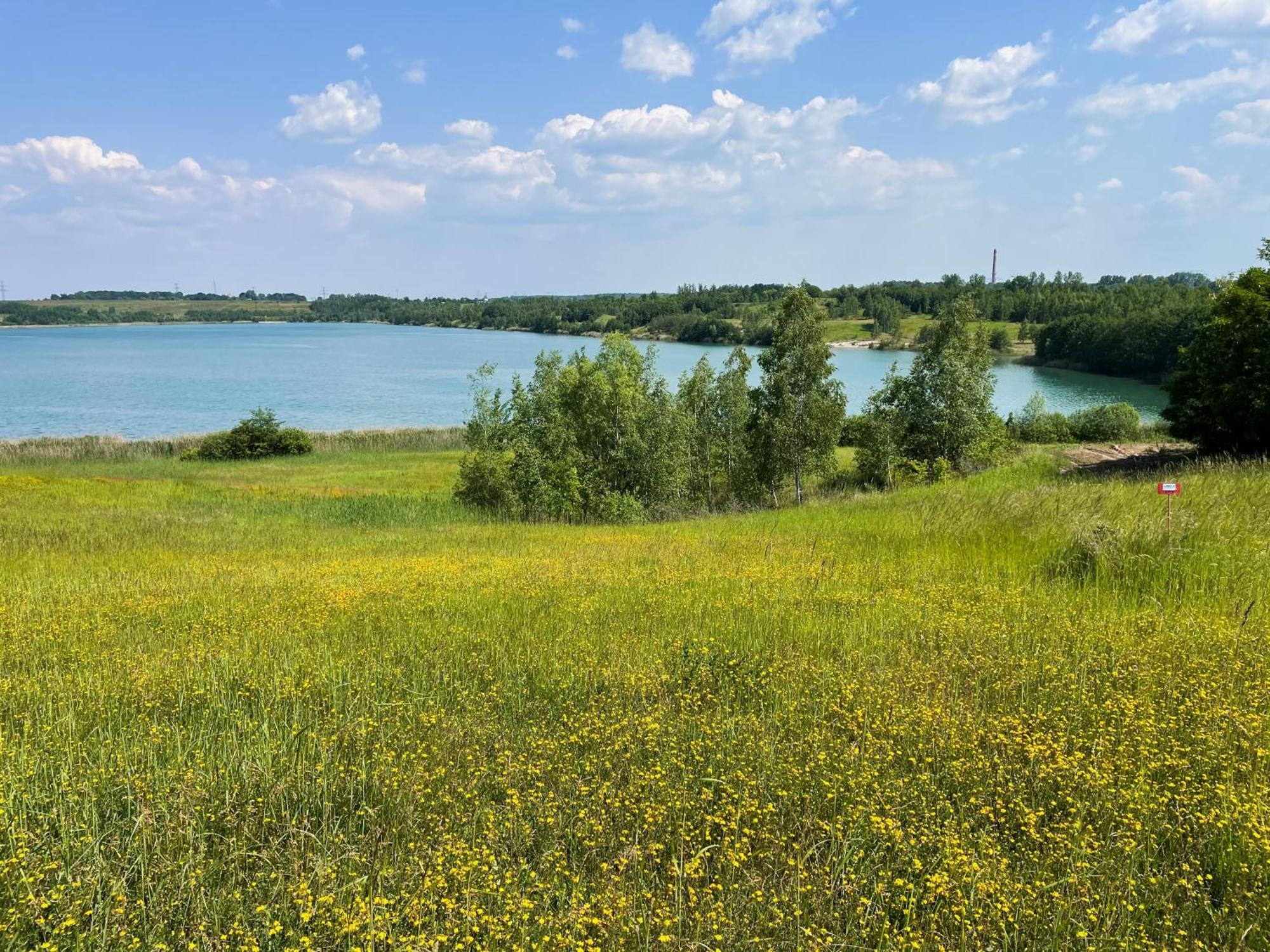 Haus Im Schilf 1 - Ferienwohnungen Am Hainer See Bei Leipzig Neukieritzsch Exterior photo
